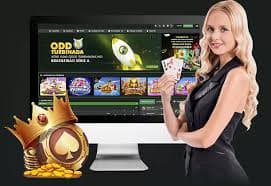 bet77b